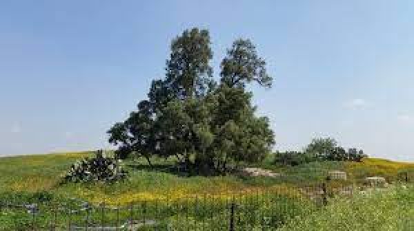  | موسوعة القرى الفلسطينية