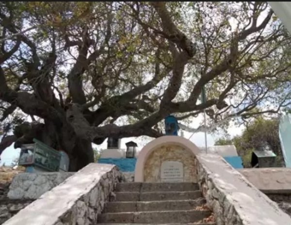  | موسوعة القرى الفلسطينية