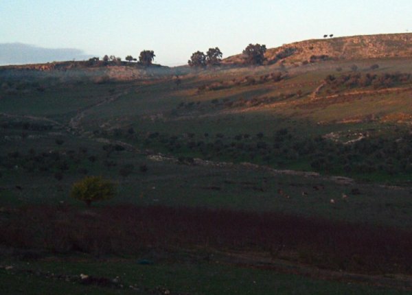  | موسوعة القرى الفلسطينية