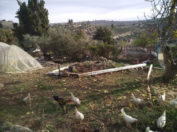  | موسوعة القرى الفلسطينية