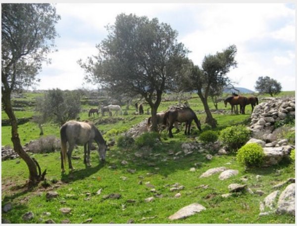  | موسوعة القرى الفلسطينية