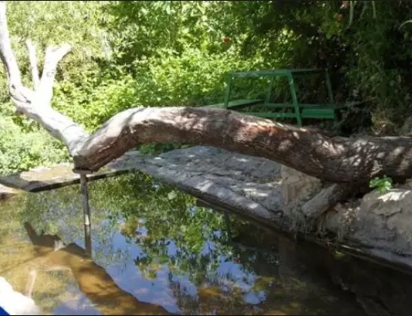  | موسوعة القرى الفلسطينية