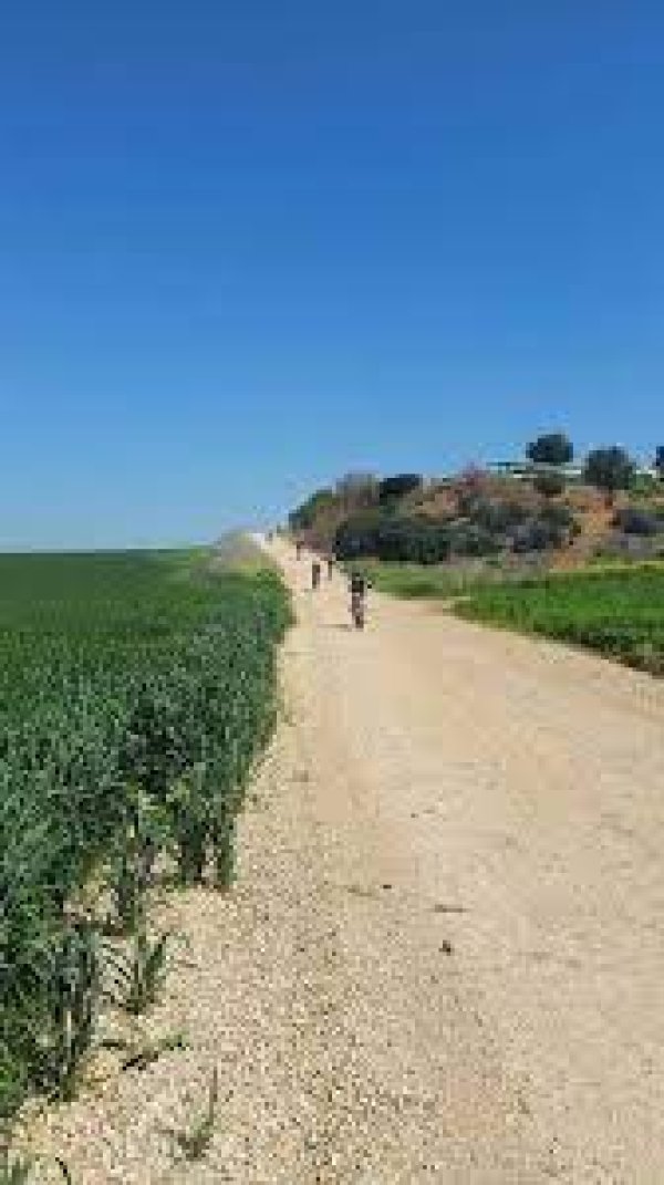 قرية الجلدية