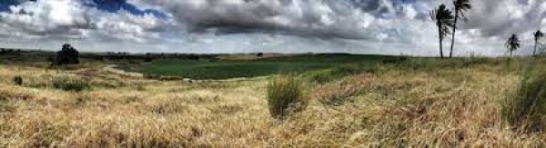 قرية الجلدية