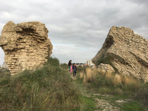  | موسوعة القرى الفلسطينية