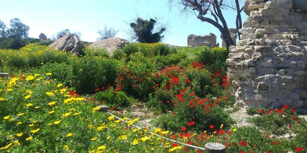  | موسوعة القرى الفلسطينية