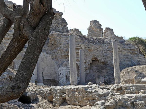  | موسوعة القرى الفلسطينية