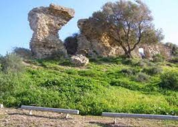  | موسوعة القرى الفلسطينية