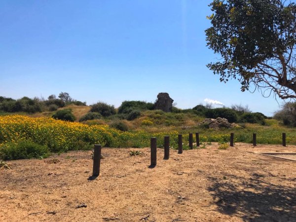  | موسوعة القرى الفلسطينية