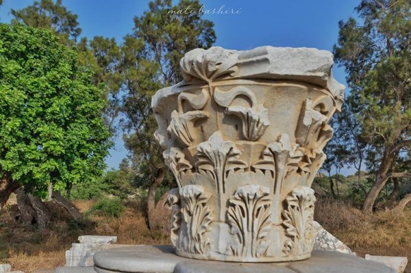  | موسوعة القرى الفلسطينية