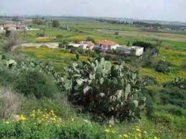 قرية السوافير الشرقية