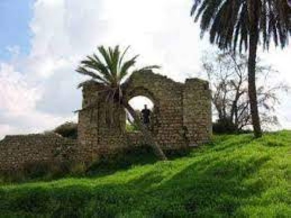 قرية السوافير الشرقية