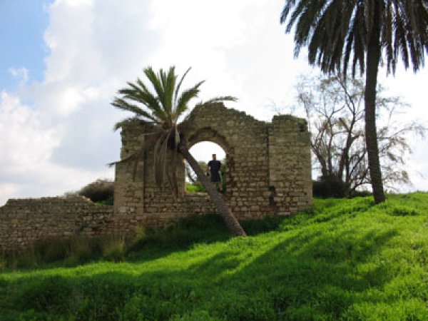  | موسوعة القرى الفلسطينية