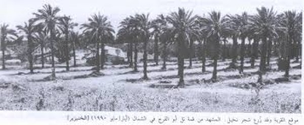  | موسوعة القرى الفلسطينية