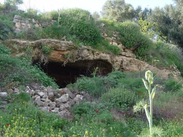  | موسوعة القرى الفلسطينية