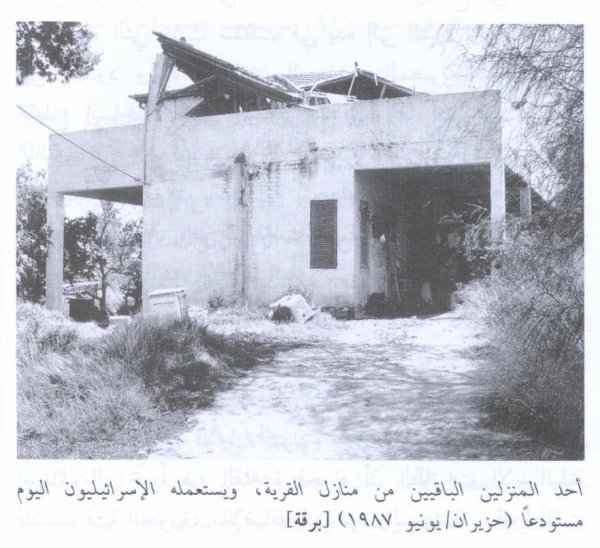 قرية برقة / غزة