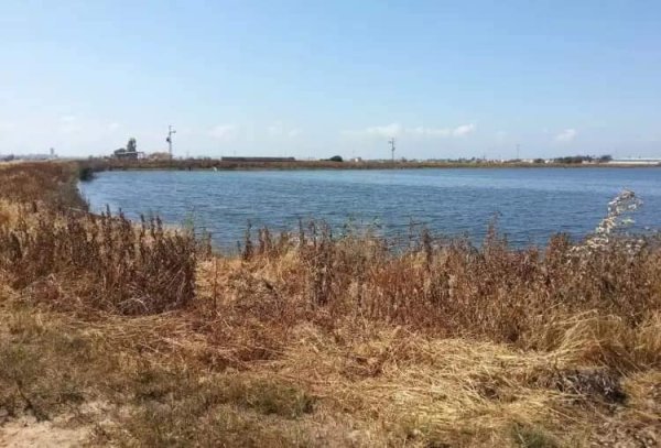 قرية برقة / غزة