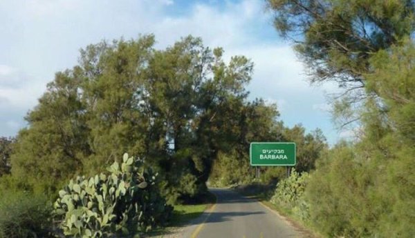 مجموعة صور حديثة من قرية بربرة المهجرة نقلاً عن صفحة قرية بربرة على الفيسبوك