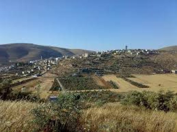 مجموعة صور حديثة من قرية بربرة المهجرة نقلاً عن صفحة قرية بربرة على الفيسبوك