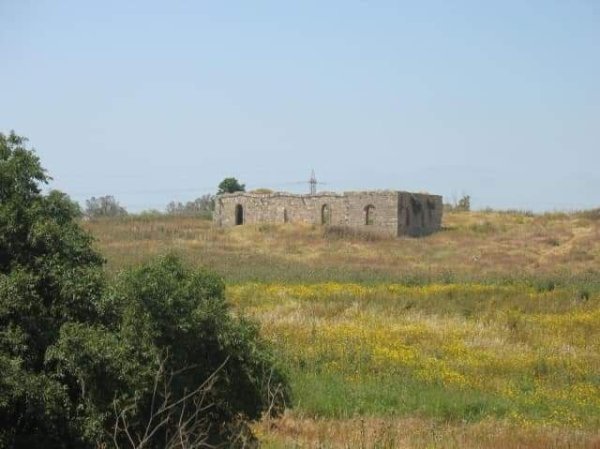 مجموعة صور حديثة من قرية بربرة المهجرة نقلاً عن صفحة قرية بربرة على الفيسبوك