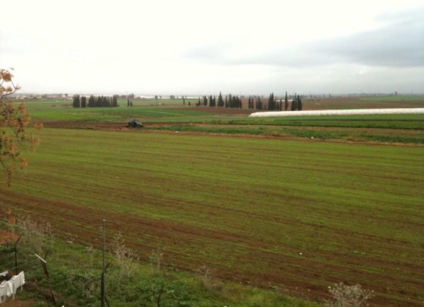 اراضي قرية حتا، نقلاً عن موقع فلسطين في الذاكرة