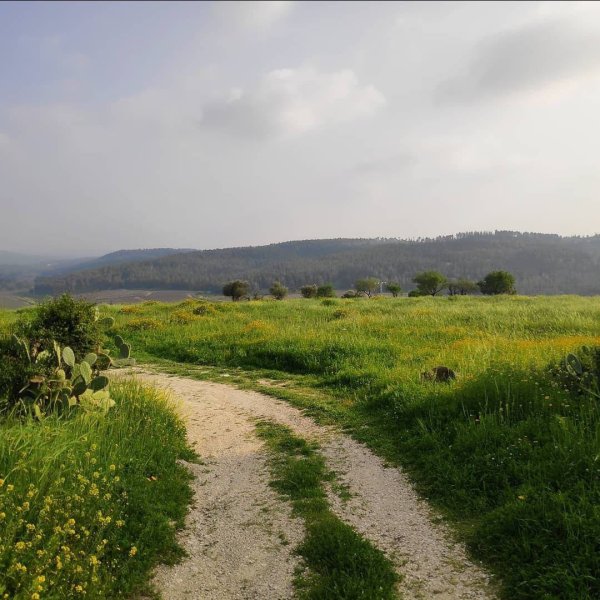 صور من أراضي قرية قسطينة والمستوطنات التي أسست على أراضيها