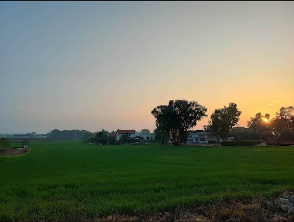 صور من أراضي قرية قسطينة والمستوطنات التي أسست على أراضيها