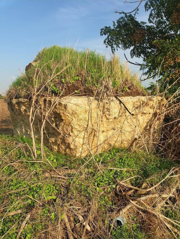 صور من أراضي قرية قسطينة والمستوطنات التي أسست على أراضيها