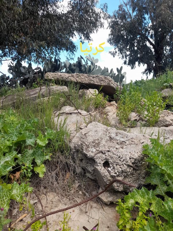 قرية كرتيا في الوقت الحالي بعدسة: عبد الله أحمد