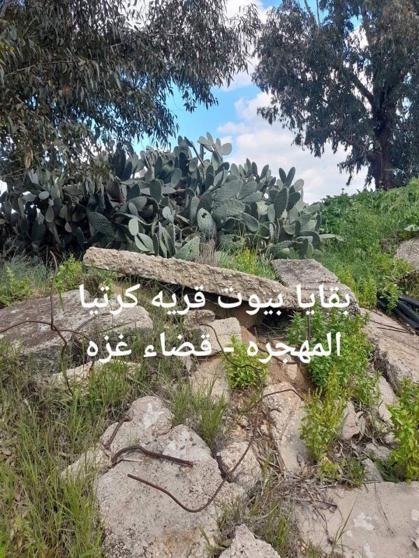 قرية كرتيا في الوقت الحالي بعدسة: عبد الله أحمد