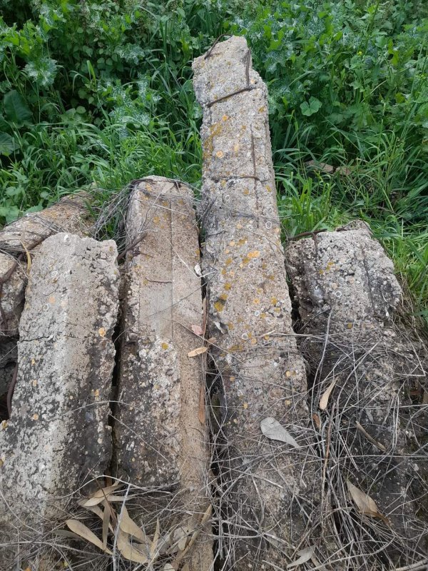 قرية كرتيا في الوقت الحالي بعدسة: عبد الله أحمد