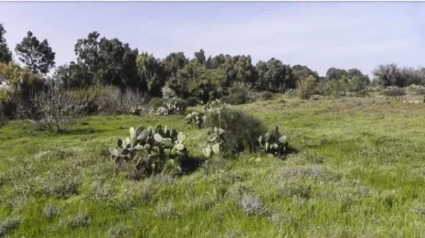 صور حديثة من أراضي قرية هربيا، نقلاً عن موقع هربيا نت https://www.herbya.net/?m=1