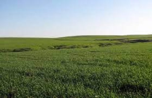 صور حديثة لقرية هوج المحتلة