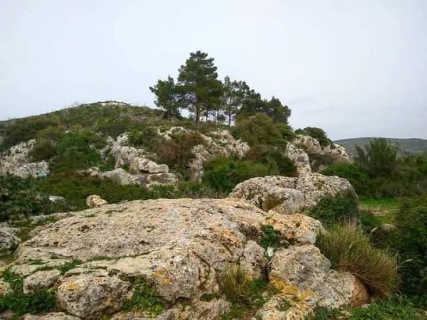 إطلالة جميلة على سفوح جبل كنعان قرية فرعم قضاء صفد