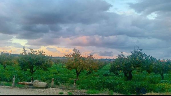  | موسوعة القرى الفلسطينية