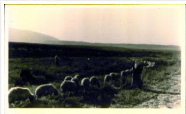  | موسوعة القرى الفلسطينية