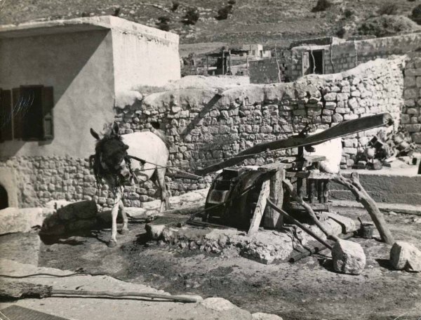  | موسوعة القرى الفلسطينية