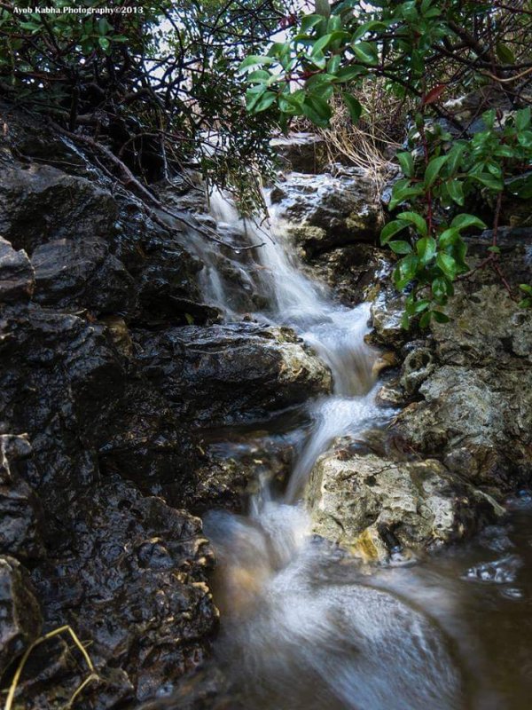  | موسوعة القرى الفلسطينية