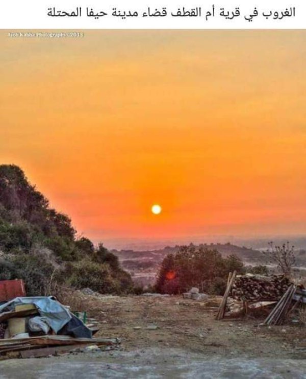  | موسوعة القرى الفلسطينية