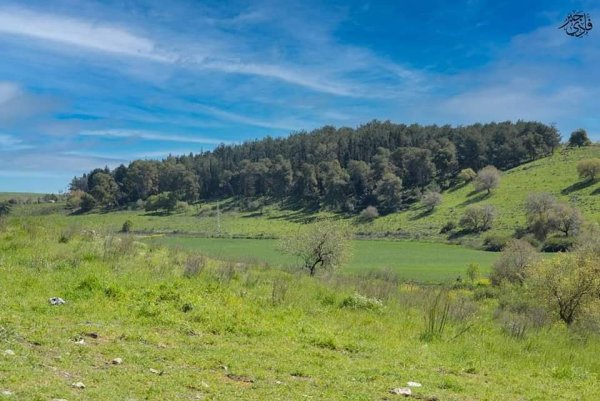من قرى حيفا المهجرة ( البطيمات - خبيزة - الغدير ) تصوير فادي جبر