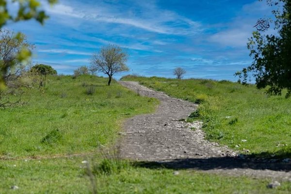 من قرى حيفا المهجرة ( البطيمات - خبيزة - الغدير ) تصوير فادي جبر