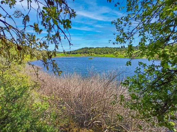 من قرى حيفا المهجرة ( البطيمات - خبيزة - الغدير ) تصوير فادي جبر