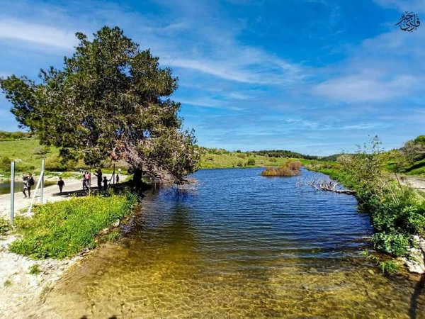 من قرى حيفا المهجرة ( البطيمات - خبيزة - الغدير ) تصوير فادي جبر