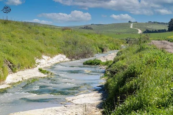 من قرى حيفا المهجرة ( البطيمات - خبيزة - الغدير ) تصوير فادي جبر