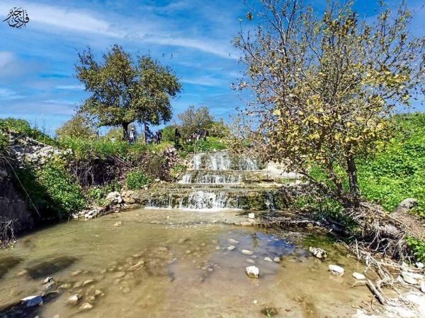 من قرى حيفا المهجرة ( البطيمات - خبيزة - الغدير ) تصوير فادي جبر