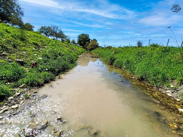 من قرى حيفا المهجرة ( البطيمات - خبيزة - الغدير ) تصوير فادي جبر