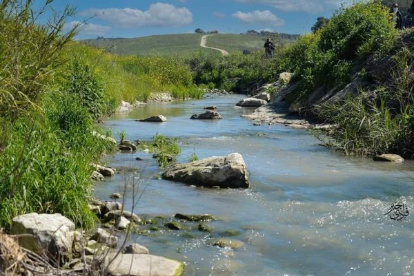من قرى حيفا المهجرة ( البطيمات - خبيزة - الغدير ) تصوير فادي جبر