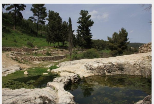 عين المياه في أراضي بيريا، نقلاً عن موقع فلسطين في الذاكرة