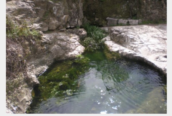 عين المياه في أراضي بيري، نقلاً اعن موقع فلسطين في الذاكرة