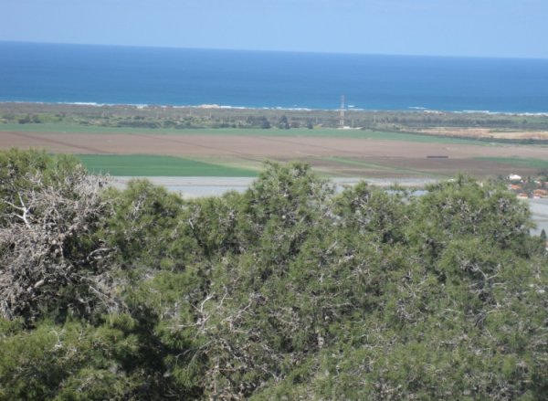 منظر من موقع جبع باتجاه الغرب